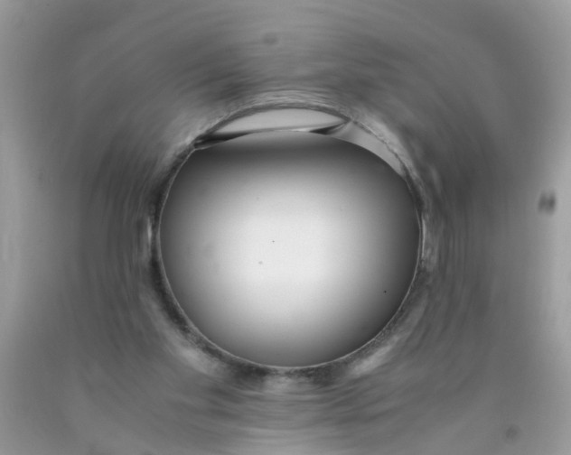 X0000089890109200707262238
