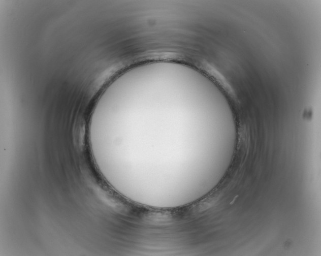 X0000089890110200707262238