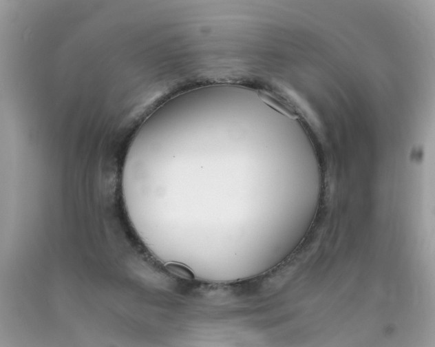 X0000089890113200707262238
