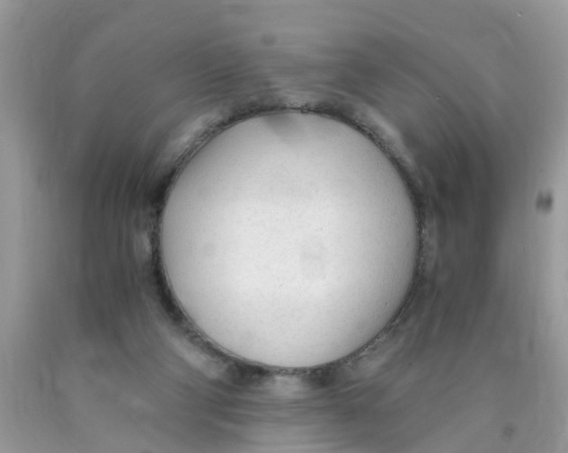 X0000089890114200707262238