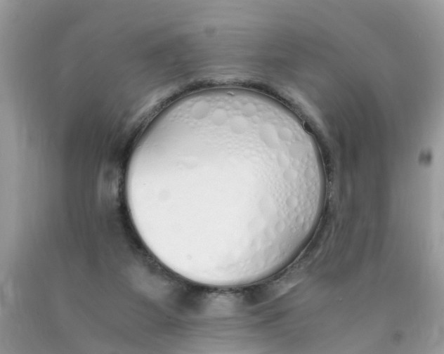 X0000089890115200707262238