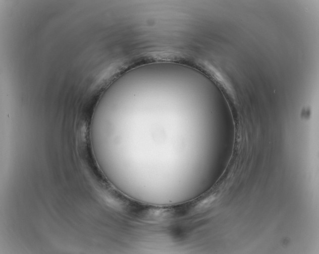 X0000089890117200707262238