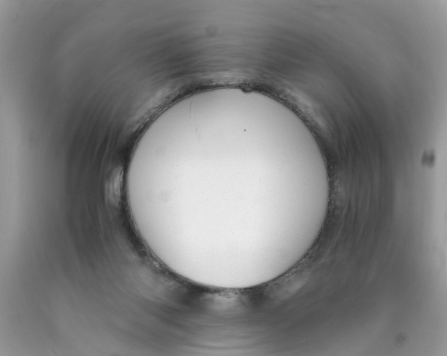 X0000089890118200707262238