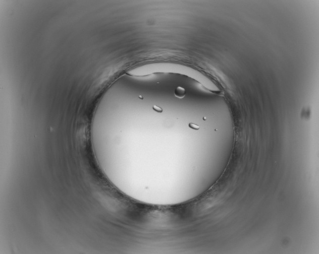 X0000089890119200707262238