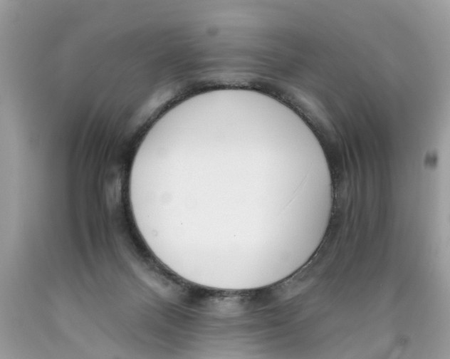 X0000089890120200707262238