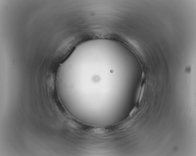 X0000089890121200707262238