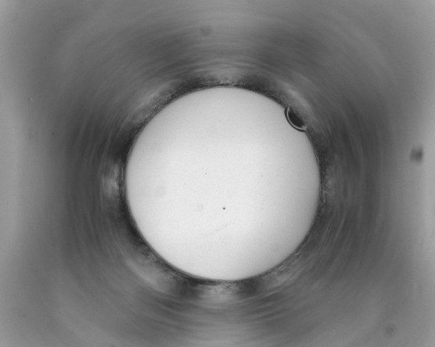 X0000089890122200707262238