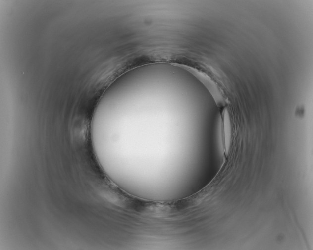 X0000089890125200707262238