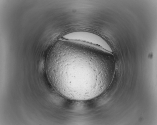 X0000089890127200707262238
