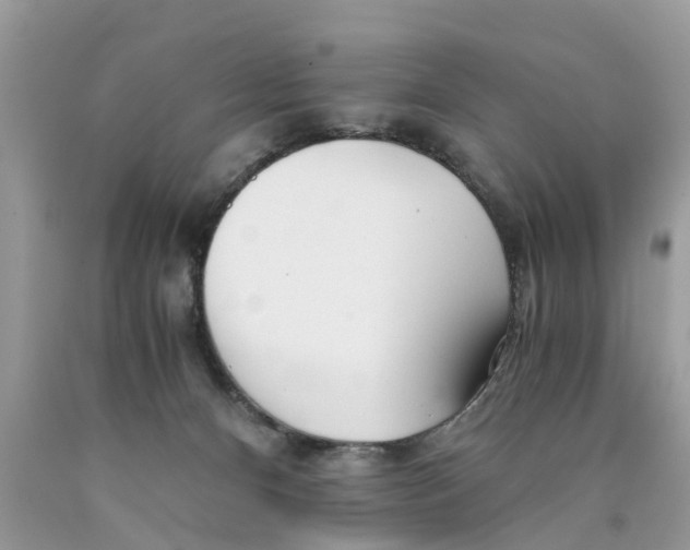 X0000089890128200707262238