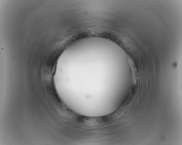X0000089890129200707262238
