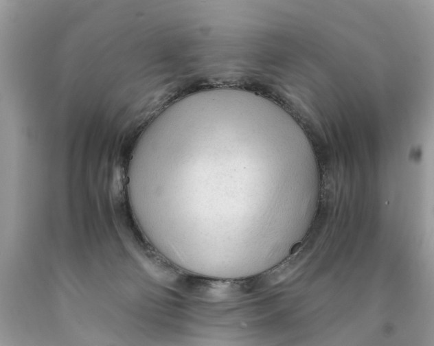 X0000089890130200707262238