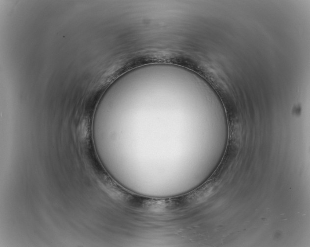 X0000089890131200707262238
