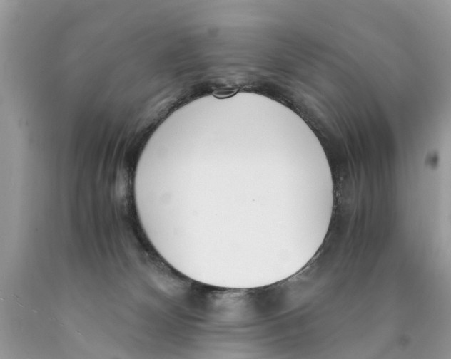 X0000089890132200707262238