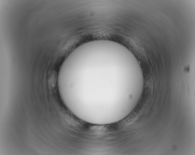 X0000089890133200707262238