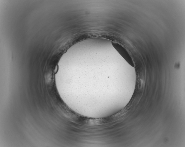 X0000089890134200707262238