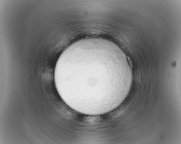 X0000089890135200707262238