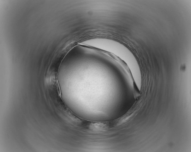 X0000089890137200707262238