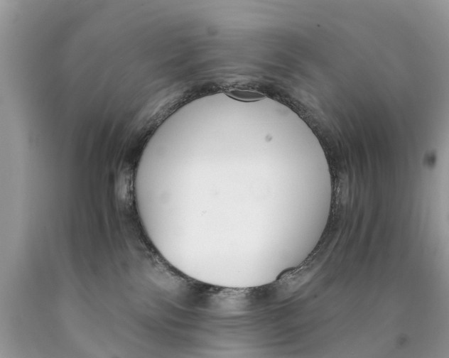 X0000089890138200707262238