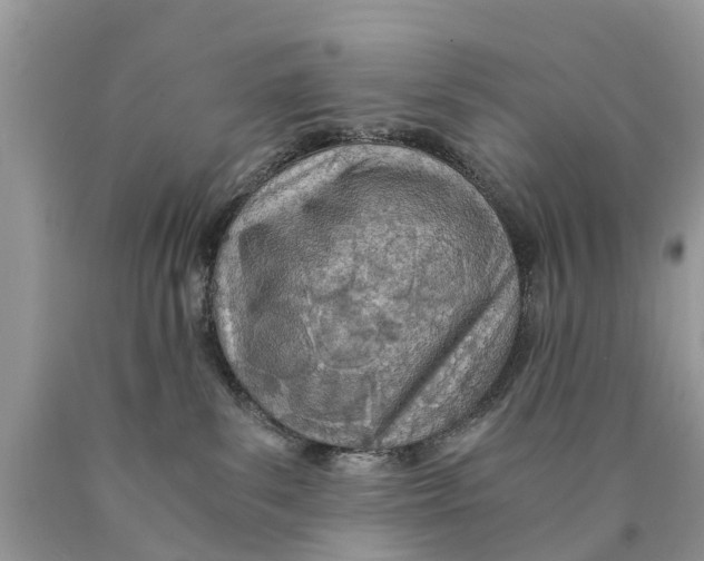 X0000089890139200707262238