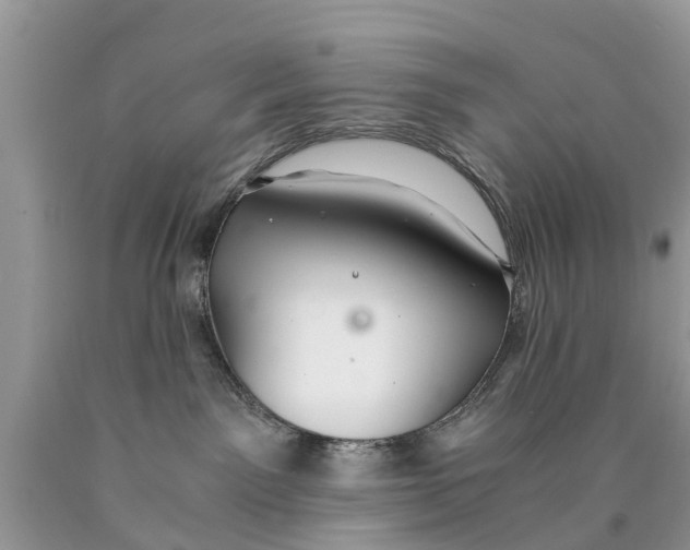 X0000089890141200707262238