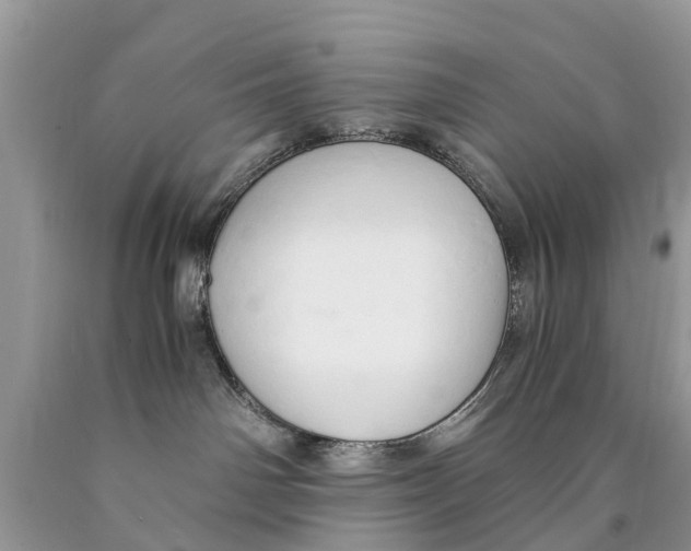 X0000089890142200707262238