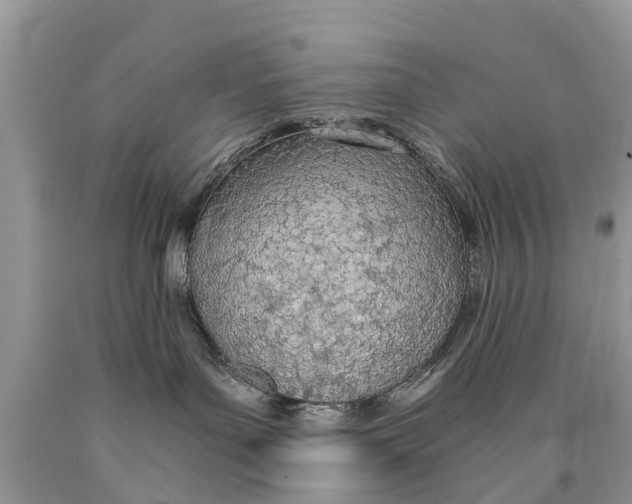 X0000089890143200707262238