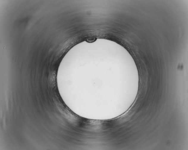 X0000089890144200707262238