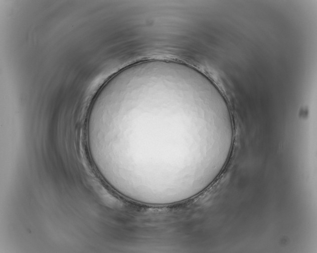X0000089890145200707262237