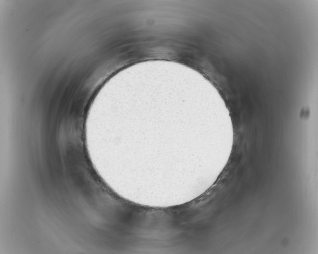 X0000089890146200707262237