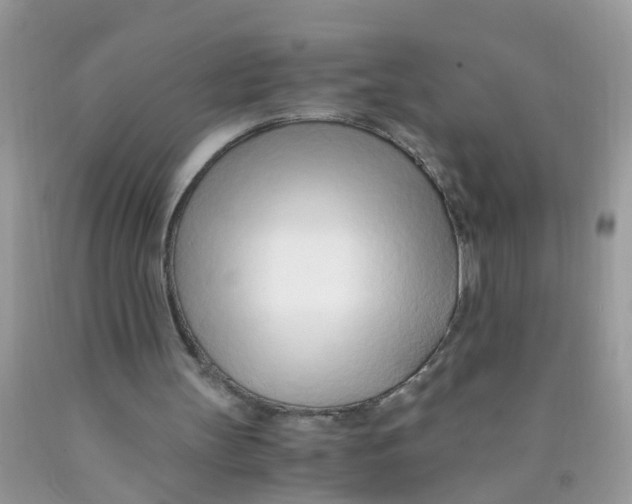 X0000089890147200707262237