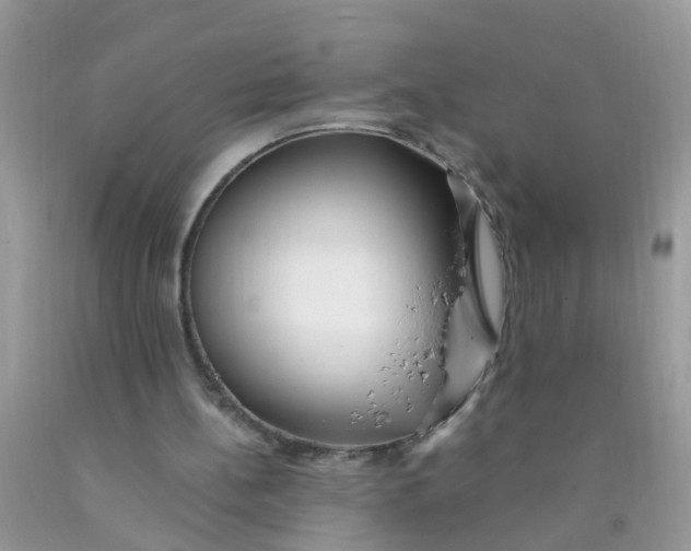 X0000089890148200707262237
