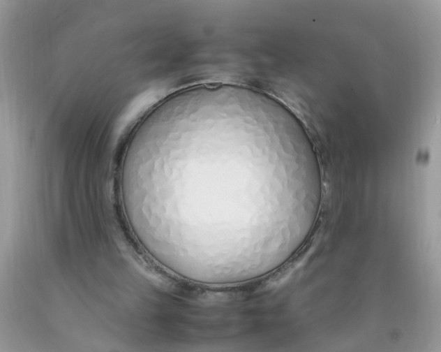 X0000089890149200707262237