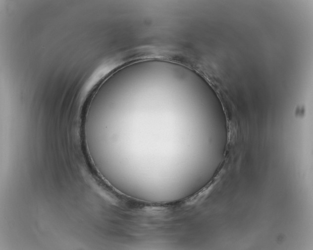 X0000089890150200707262237