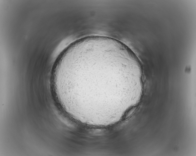X0000089890151200707262237