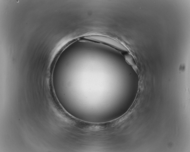 X0000089890152200707262237