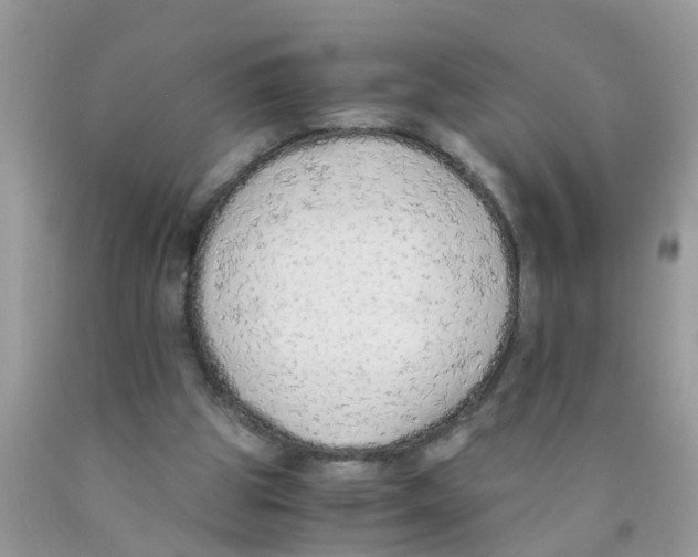 X0000089890153200707262237