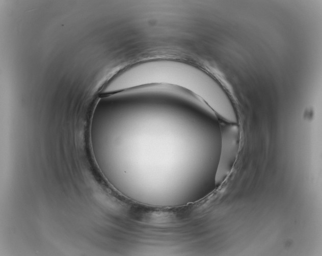 X0000089890154200707262237