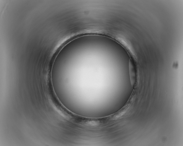 X0000089890156200707262237