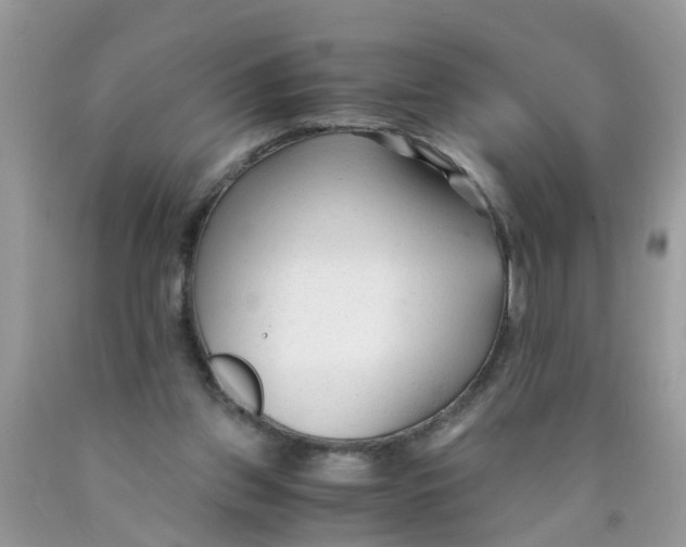 X0000089890157200707262237
