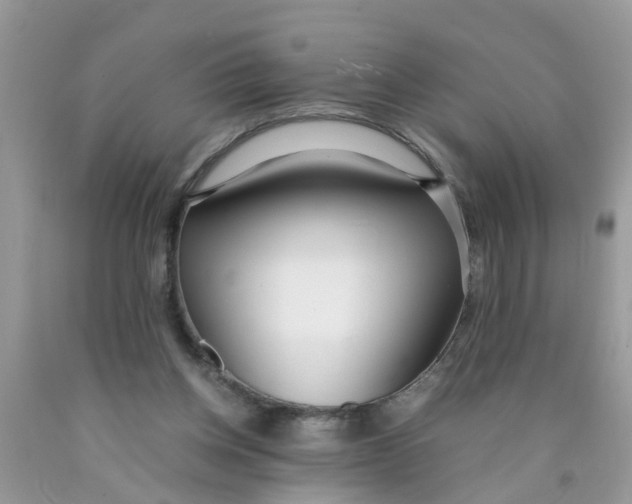 X0000089890158200707262237