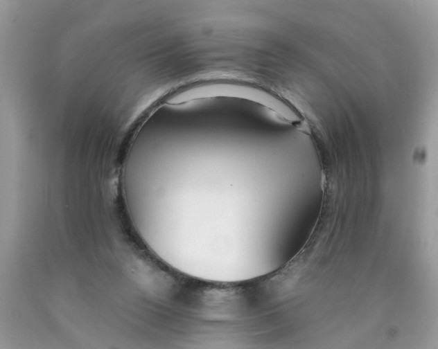 X0000089890160200707262237
