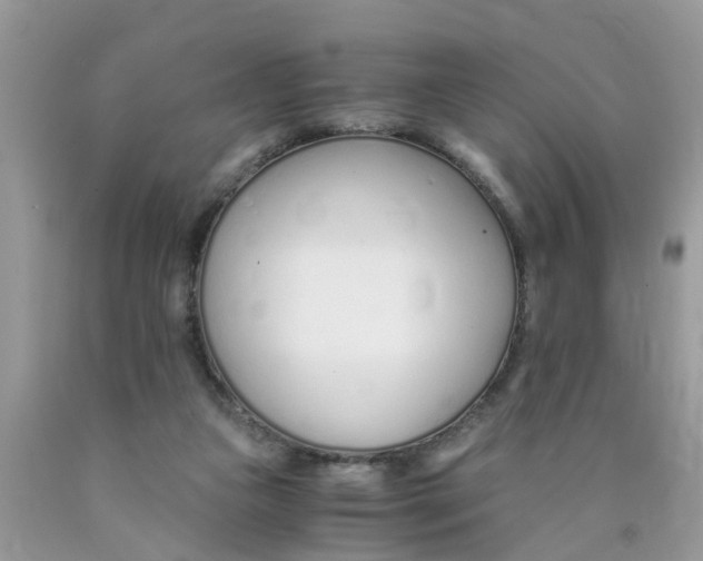 X0000089890161200707262237