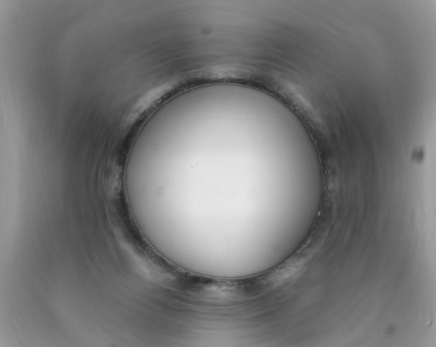 X0000089890164200707262237