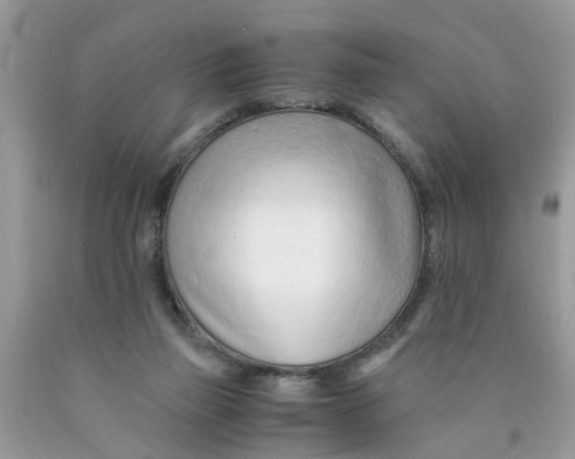 X0000089890165200707262237