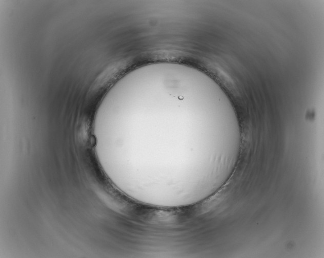 X0000089890166200707262237