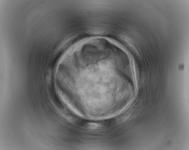 X0000089890167200707262237