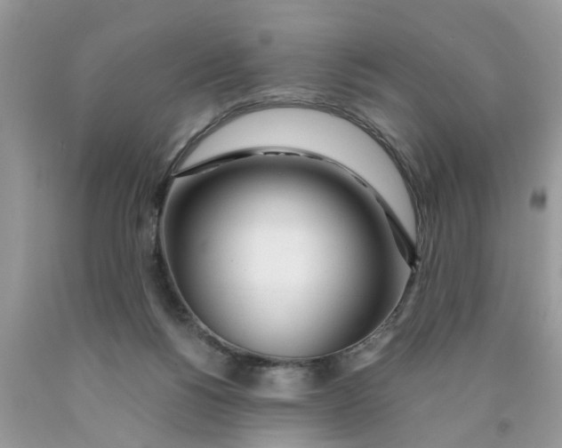 X0000089890168200707262237
