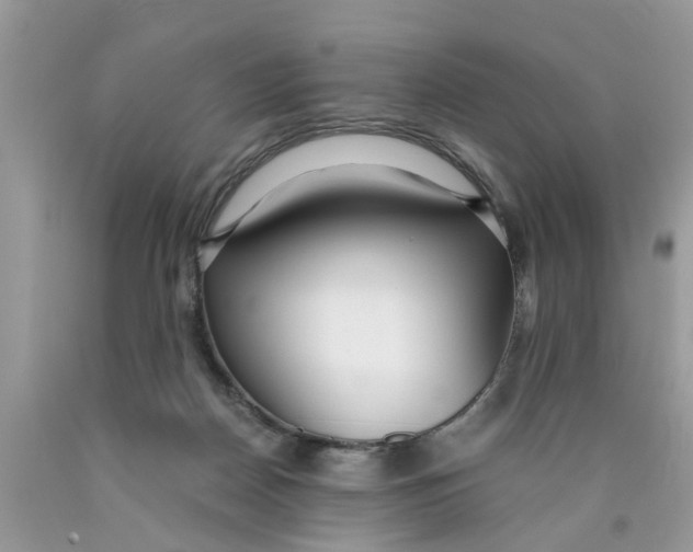 X0000089890170200707262237