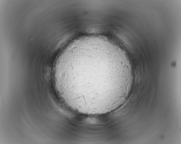 X0000089890171200707262237